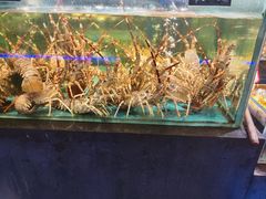 -龙宴海鲜城(经中路店)