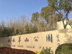 -羊山湖公园