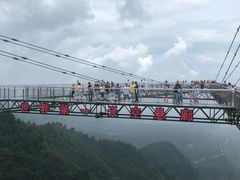 -梦幻奥陶纪景区