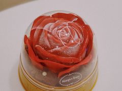 -哈根达斯(深圳海岸城店)