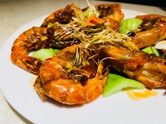 -点都德·毕德寮