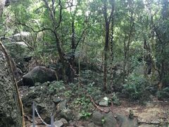 -七仙岭温泉国家森林公园