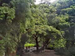 -成都市活水公园