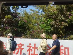 -北海金海湾红树林生态旅游区