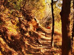 -北京西山国家森林公园