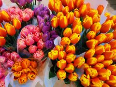 -循礼门鲜花花市(武汉循礼门店)