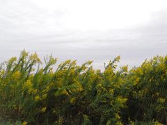 -平湖九龙山旅游度假区