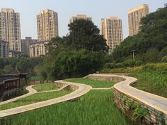 -龙头寺公园