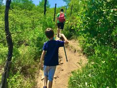 -阳台山自然风景区