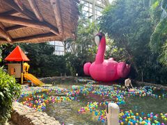 -龙熙温泉水世界