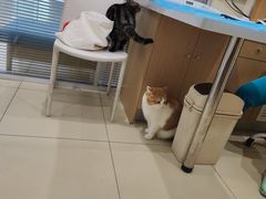 -美迦爱-牙专科·兔科·骨科诊疗中心(北苑店)
