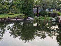 -成飞公园