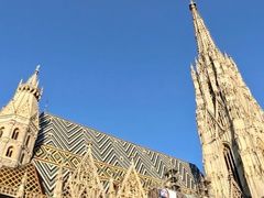 -斯蒂芬主教座堂(Stephansdom)
