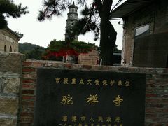 -鲁山国家森林公园