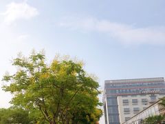 -上海智力产业园