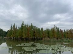 -白鹭湾湿地公园