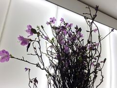 -铁手珈琲制造局metalhands(望京店)