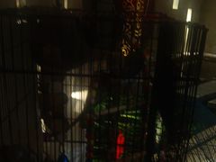 -华夏良子·足道SPA艾灸(翠微店)