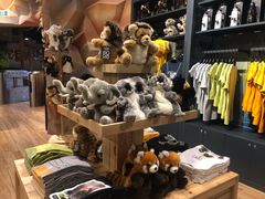 -珠海横琴国家地理探险家中心(创新方)