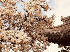 -龙华寺