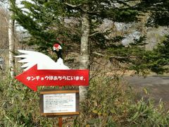 -钏路市丹顶鹤自然公园