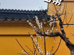 -无锡梅园公园