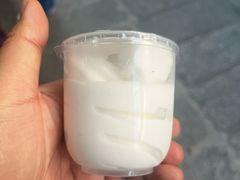 -洪馨椰子