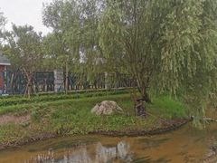 -日照海滨国家森林公园