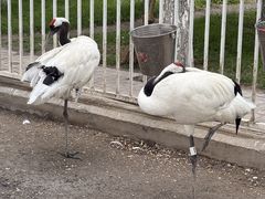 -水上乐园·欢乐世界