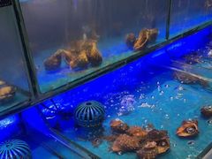 -SEA西雅图海鲜自助餐厅(海乐世界店)