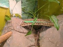 -上海大自然野生昆虫馆
