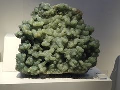 -重庆自然博物馆(新馆)