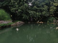 -成都市活水公园