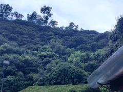 -鲤鱼塘农家山庄