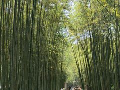 -上海市龙华烈士陵园