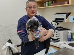 -美联众合动物医院·24h京西诊疗中心