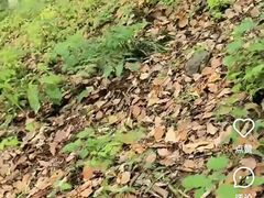 -金华体育中心游泳馆