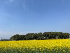 -中国天府农业博览园