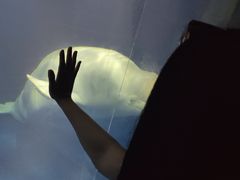 -大连圣亚海洋世界