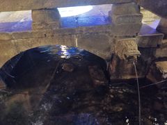 -淀里船宴(卓达店)