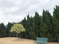 -南沙蒲洲花园