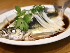 -宁波柏悦酒店·钱湖渔港