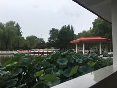 -丰台花园