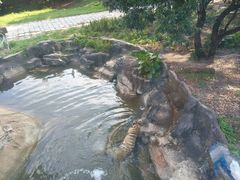 -深圳野生动物园