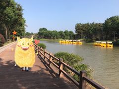 -上海海湾国家森林公园