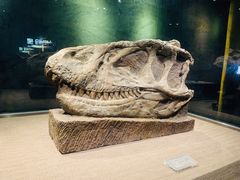 -自贡恐龙博物馆