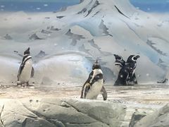 -上海海洋水族馆