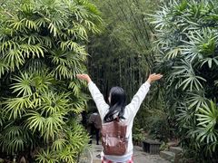 -人民公园(罗湖区)