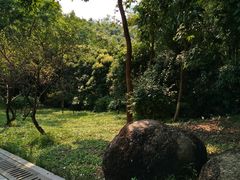 -玉树公园