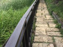 -前关湿地公园